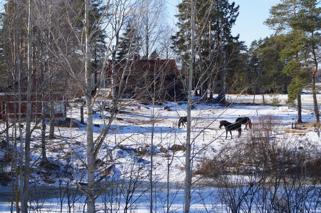 Silfvastas Holiday Homes Lapinjärvi 외부 사진